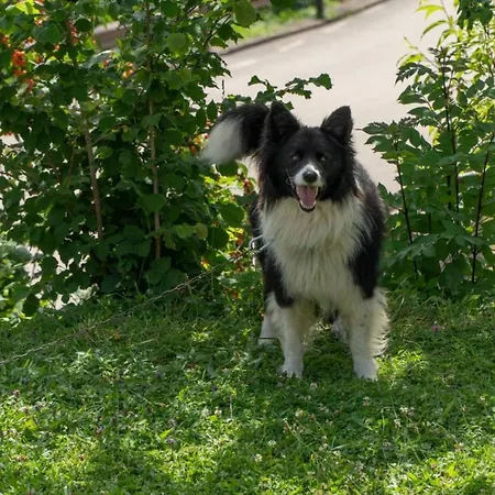 Hotel Casona Malvasía - Adults Only Cabezón de Liébana