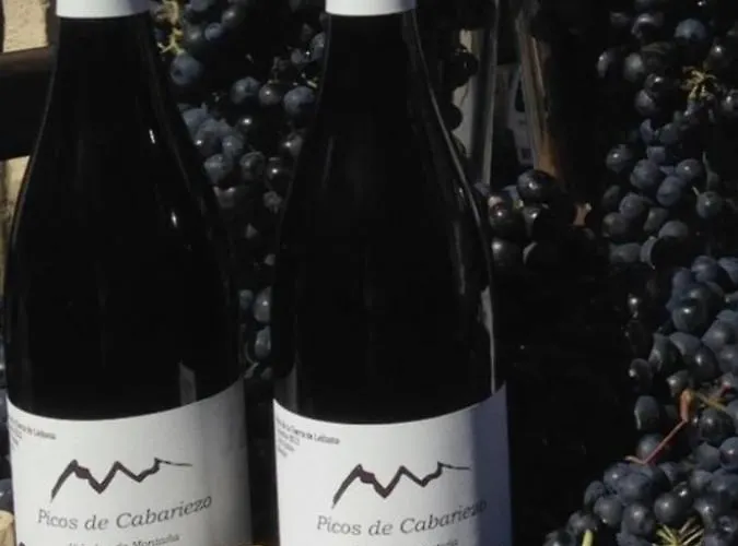 Hotell Casona Malvasia - Adults Only