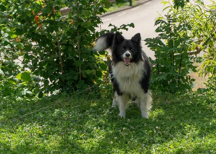 Hotell Casona Malvasia - Adults Only Cabezón de Liébana